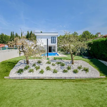 Modern Angelina In - By Istrabook