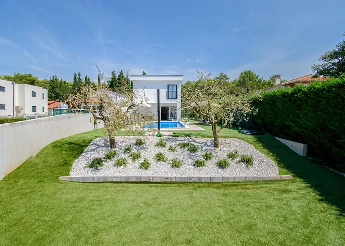 Modern Angelina In - By Istrabook