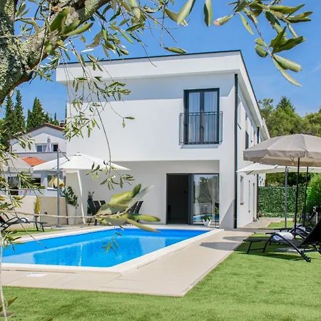 Modern Angelina In Villa