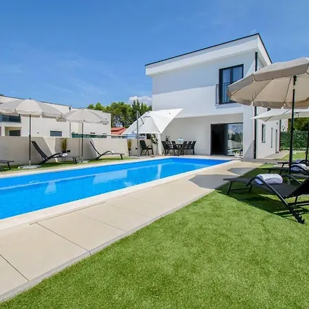 Modern Angelina In *